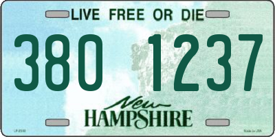NH license plate 3801237