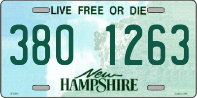NH license plate 3801263