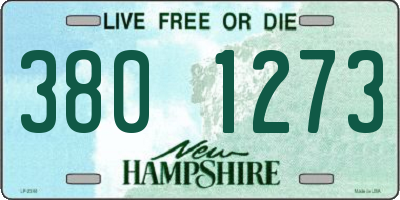 NH license plate 3801273