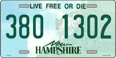 NH license plate 3801302