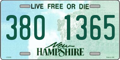 NH license plate 3801365