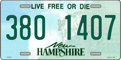 NH license plate 3801407