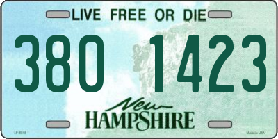 NH license plate 3801423