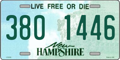 NH license plate 3801446
