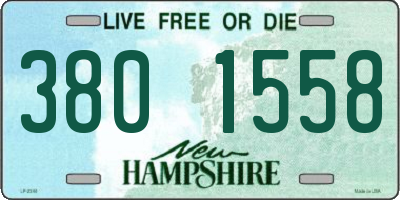NH license plate 3801558