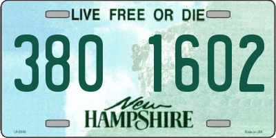 NH license plate 3801602