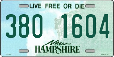 NH license plate 3801604