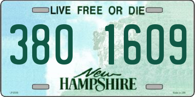 NH license plate 3801609