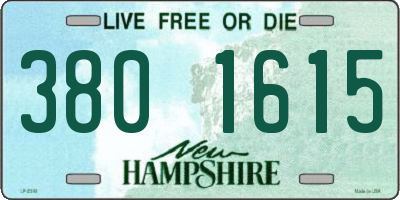 NH license plate 3801615