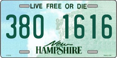 NH license plate 3801616