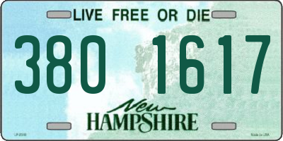 NH license plate 3801617