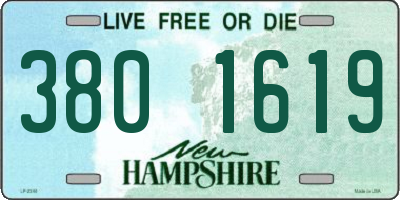 NH license plate 3801619