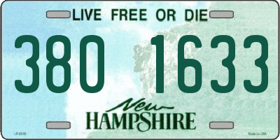 NH license plate 3801633