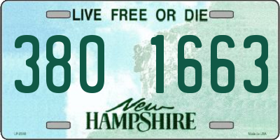 NH license plate 3801663