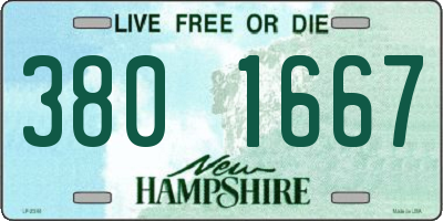 NH license plate 3801667