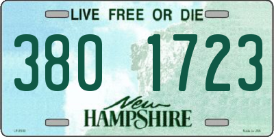 NH license plate 3801723