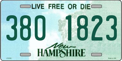 NH license plate 3801823