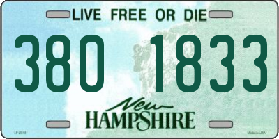 NH license plate 3801833