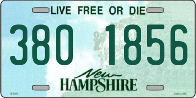 NH license plate 3801856