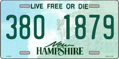 NH license plate 3801879