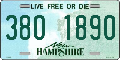 NH license plate 3801890