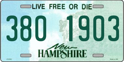 NH license plate 3801903