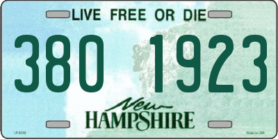 NH license plate 3801923