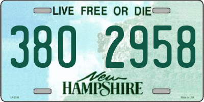 NH license plate 3802958