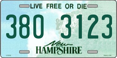NH license plate 3803123
