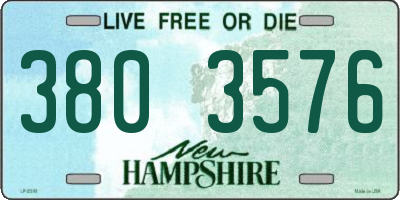 NH license plate 3803576