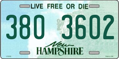NH license plate 3803602