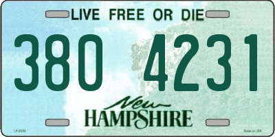NH license plate 3804231