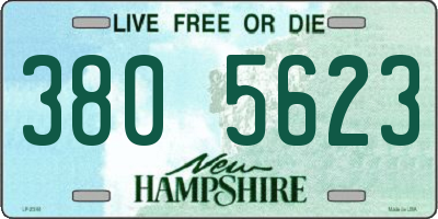 NH license plate 3805623