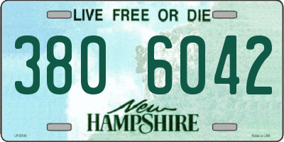 NH license plate 3806042