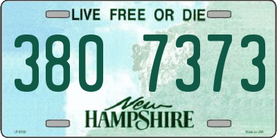 NH license plate 3807373