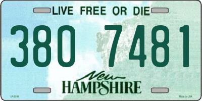 NH license plate 3807481