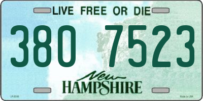 NH license plate 3807523