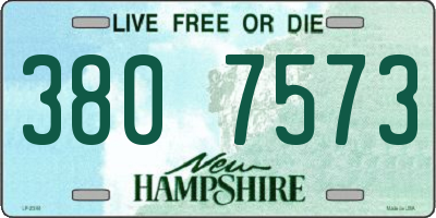 NH license plate 3807573