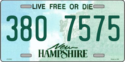 NH license plate 3807575