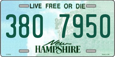 NH license plate 3807950