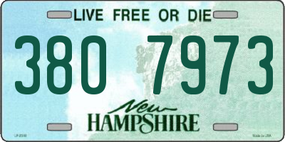 NH license plate 3807973