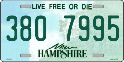 NH license plate 3807995