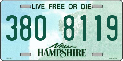 NH license plate 3808119