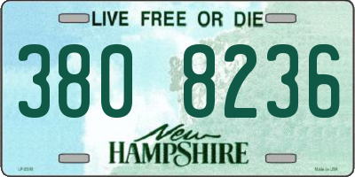 NH license plate 3808236
