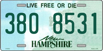 NH license plate 3808531