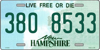 NH license plate 3808533