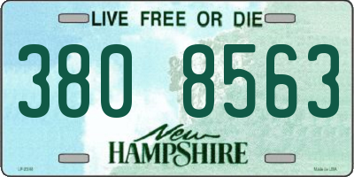 NH license plate 3808563