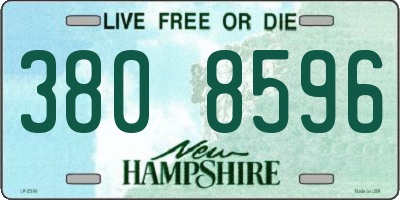 NH license plate 3808596