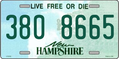 NH license plate 3808665