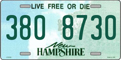 NH license plate 3808730